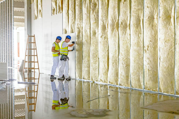 Best Insulation Maintenance and Repair in North Richland Hills, TX